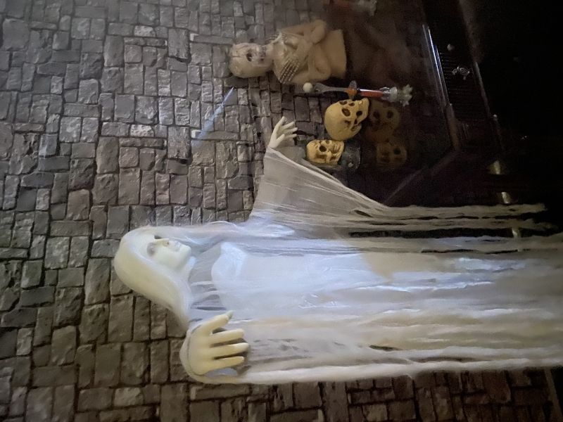 Hotel Fantasy World Resort, USA, Kissimmee. Großes 16