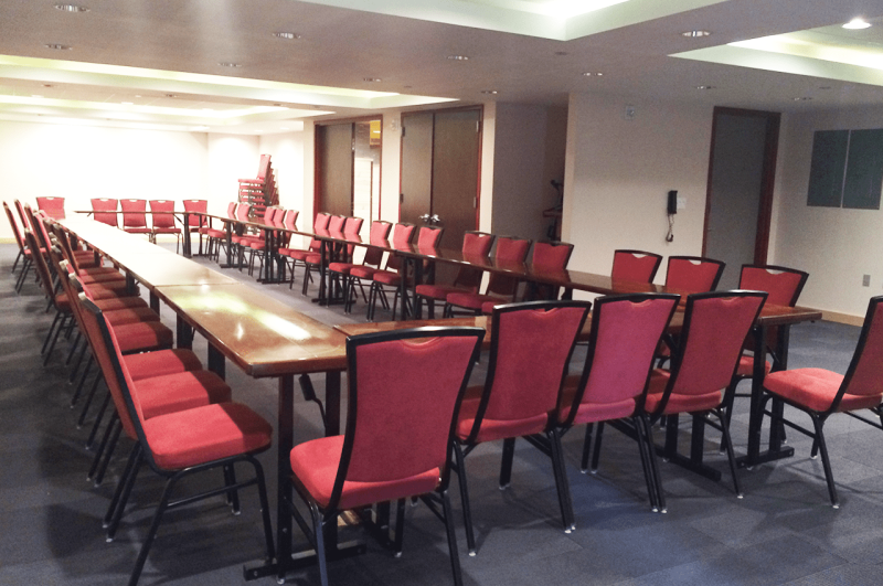 Hotel TRYP by Wyndham New York City Times Square Midtown, USA, New York City - Manhattan. Großes 18