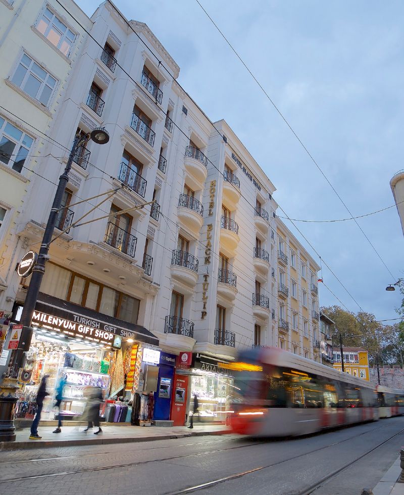 Hotel Hotel Black Tulip, Türkei, Istanbul. Großes 2