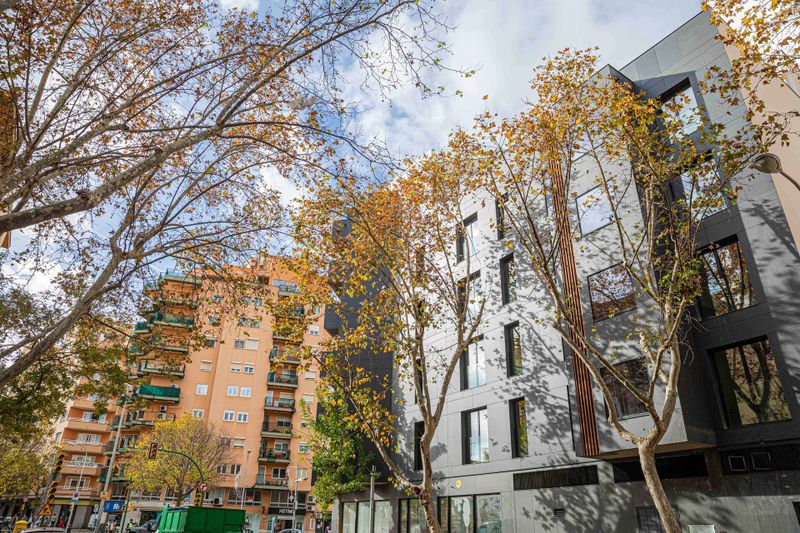 Hotel JS Palma Plaza, Spanien, Palma de Mallorca. Großes 2