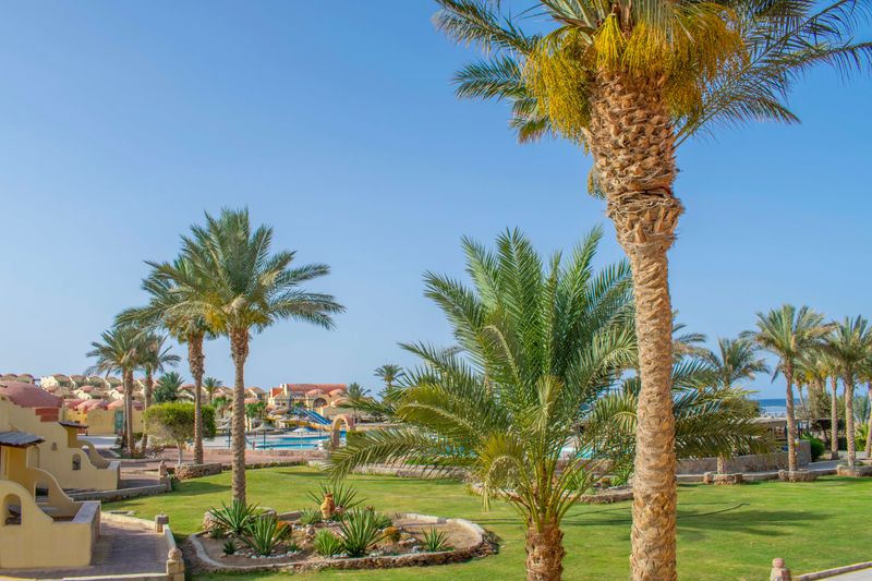 Hotel Protels Crystal Beach Resort****, Ägypten, Marsa Alam. Großes 2