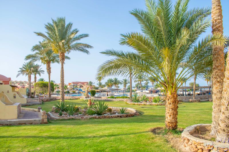 Hotel Protels Crystal Beach Resort****, Ägypten, Marsa Alam. Großes 28