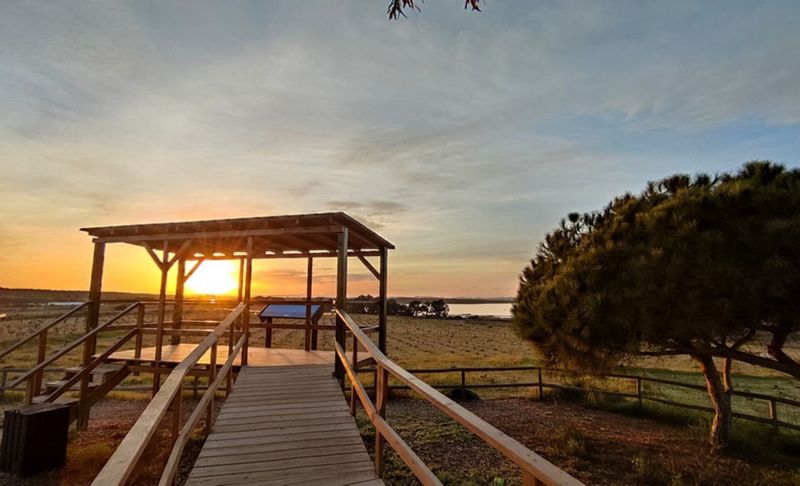 Hotel Lloyds Beach Club, Spanien, La Mata. Großes 17