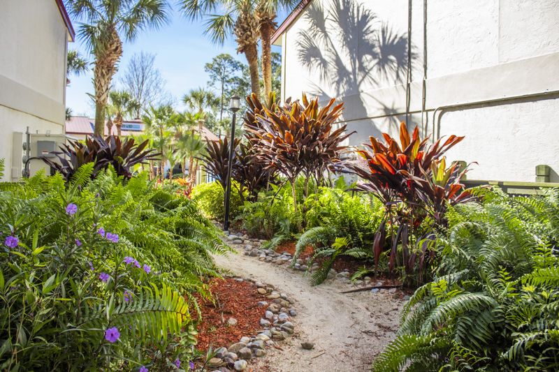 Hotel Bryan's Spanish Cove, USA, Orlando. Großes 35