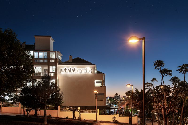 Hotel whala!tenerife, Spanien, Playa de Las Américas. Großes 2