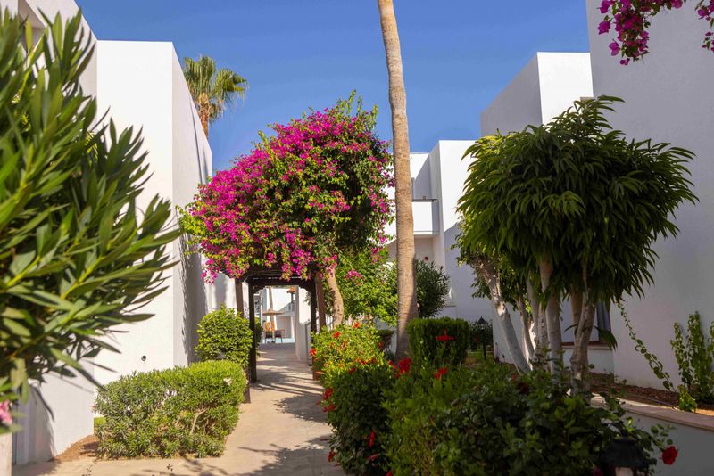 Hotel Kapetanios Aqua Resort, Zypern, Peyia. Großes 35