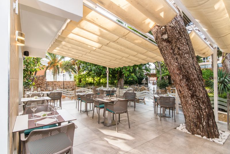 Hotel Hotel Baviera, Spanien, Cala Ratjada. Großes 16