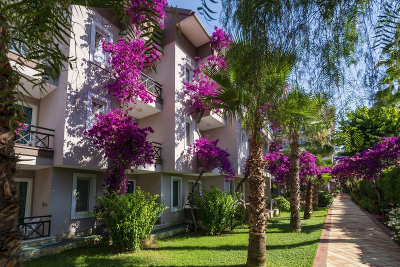 Hotel Club Dizalya Hotel, Türkei, Konakli. Großes 2