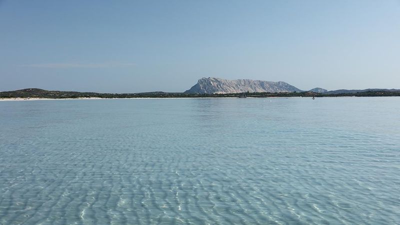 Hotel Le Mimose, Italien, San Teodoro. Großes 7