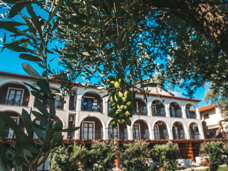 Hotel Castelli Hotel - Zakynthos, Griechenland, Agios Sostis (Zakynthos). Großes 19