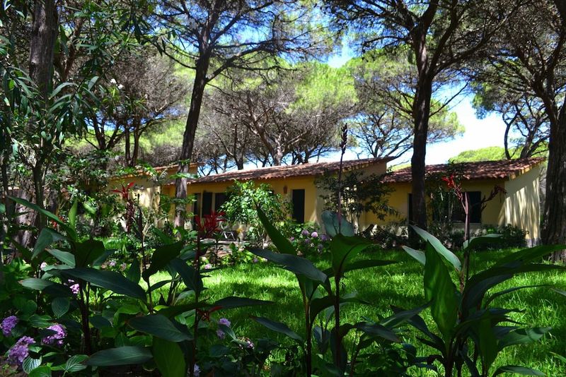 Hotel Horse Country Resort Congress and Spa, Italien, Arborea. Großes 417