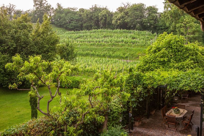 Hotel Park Hotel Principe, Schweiz, Collina d'Oro. Großes 56