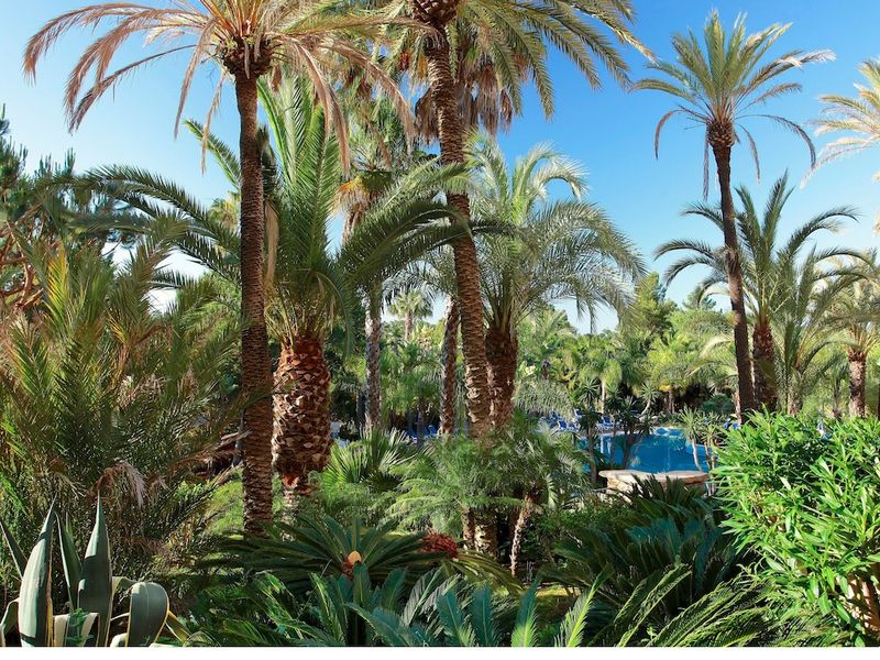 Hotel Ria Park Hotel & Spa, Portugal, Vale do Garrão. Großes 141