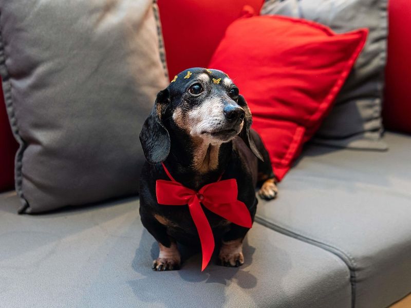 Hotel ibis London Greenwich, Großbritannien, London. Großes 321