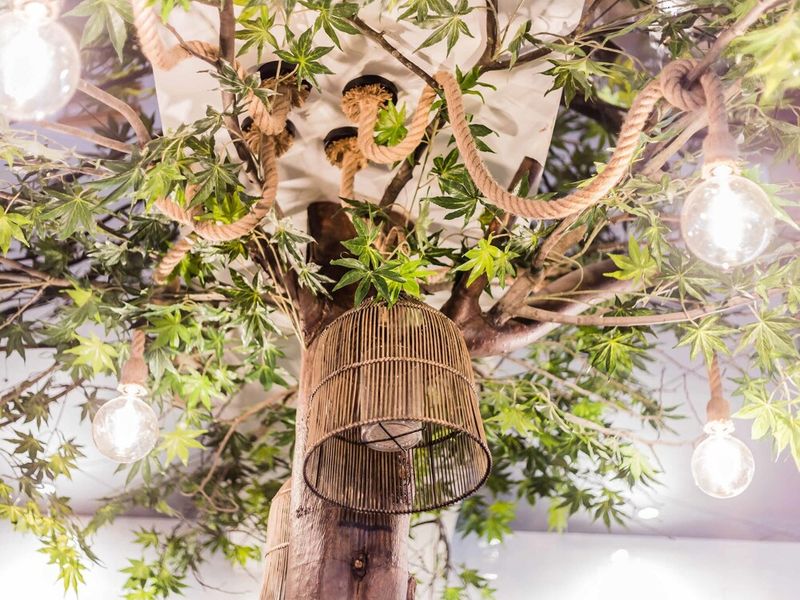 Hotel Ibis Styles Lisboa Centro Marques de Pombal, Portugal, Lissabon. Großes 452