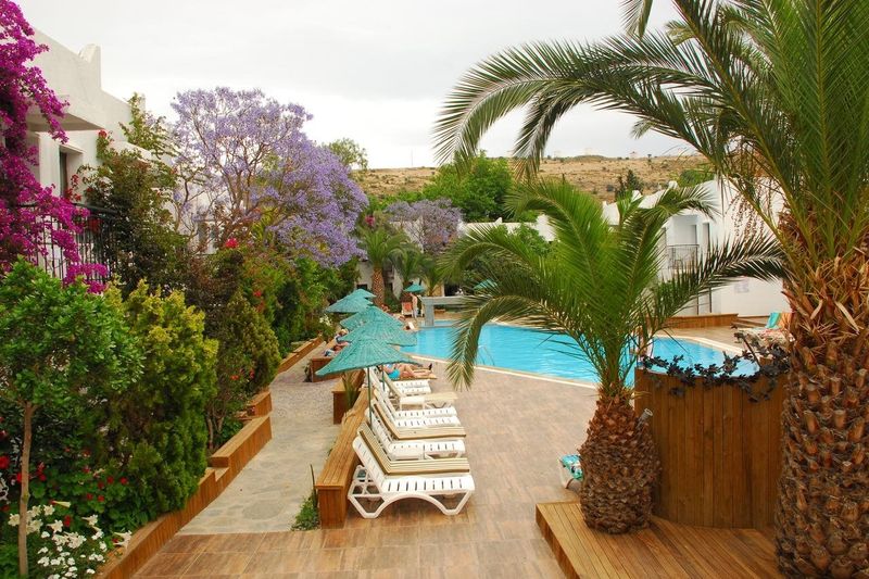 Hotel Flora Hotel (ex. Club Hotel Flora), Türkei, Bodrum. Großes 2