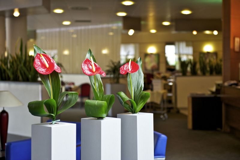 Hotel Novotel Caserta Sud, Italien, Caserta. Großes 2