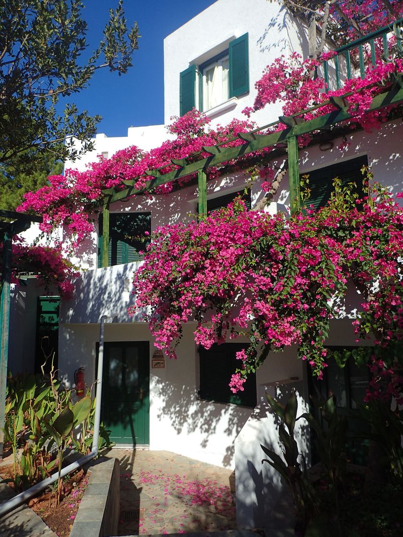 Hotel Villea Village, Griechenland, Makrigialos. Großes 1