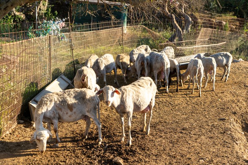 Hotel Almyrida Village and Waterpark, Griechenland, Almyrida. Großes 54