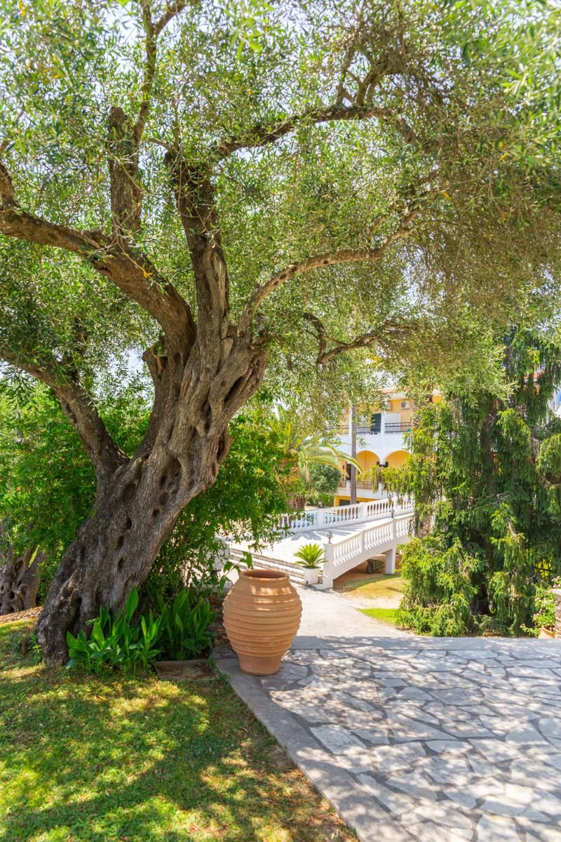 Hotel Paradise Corfu Gouvia, Griechenland, Gouvia. Großes 23