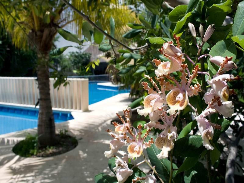 Hotel Sotavento Hotel & Yacht Club Cancun, Mexiko, Cancún. Großes 33