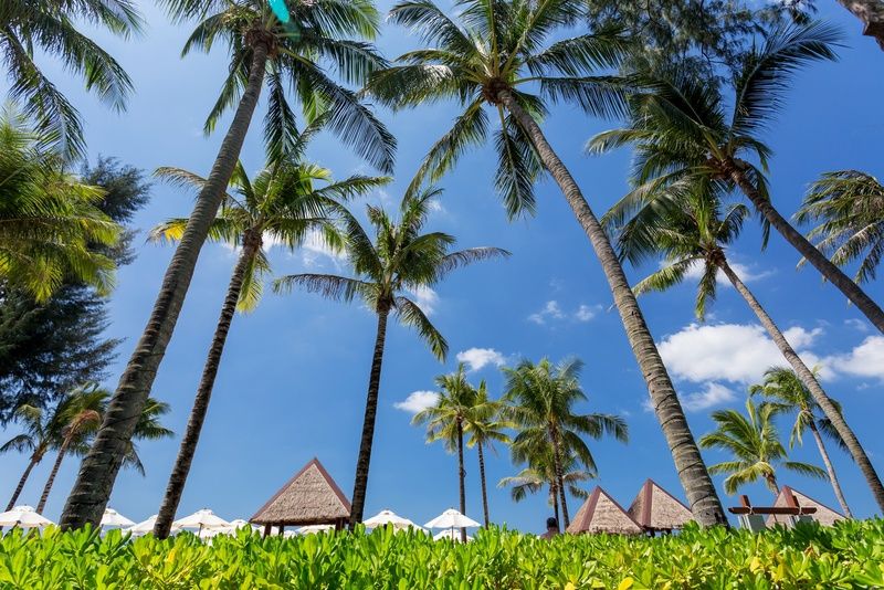 Hotel Angsana Laguna Phuket, Thailand, Bangtao Beach. Großes 95