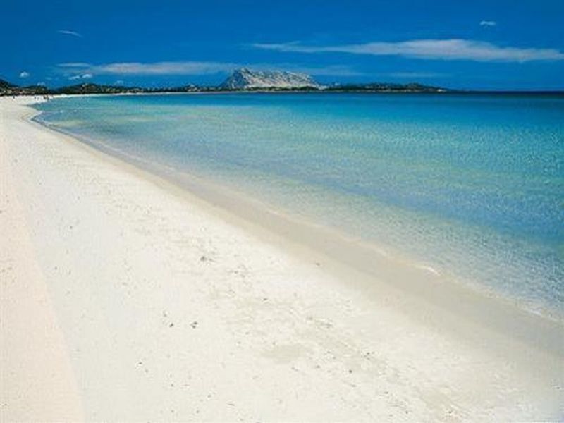 Hotel Le Mimose, Italien, San Teodoro. Großes 30