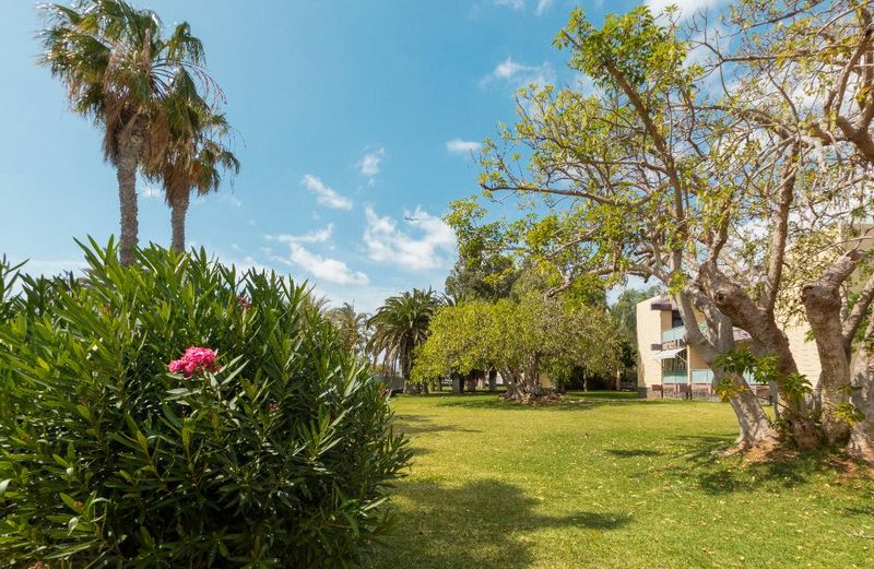 Hotel Palia Don Pedro, Spanien, Costa del Silencio. Großes 39