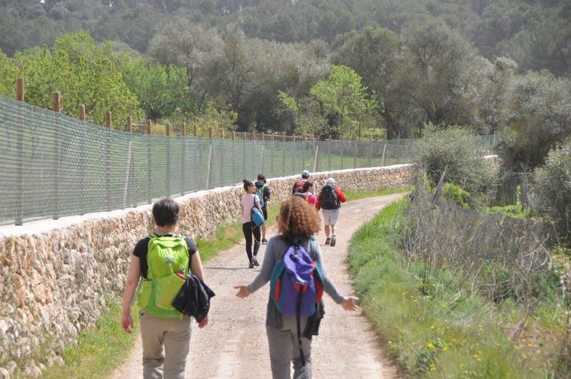 Hotel Maristel Hotel & Spa, Spanien, Estellenchs. Großes 2