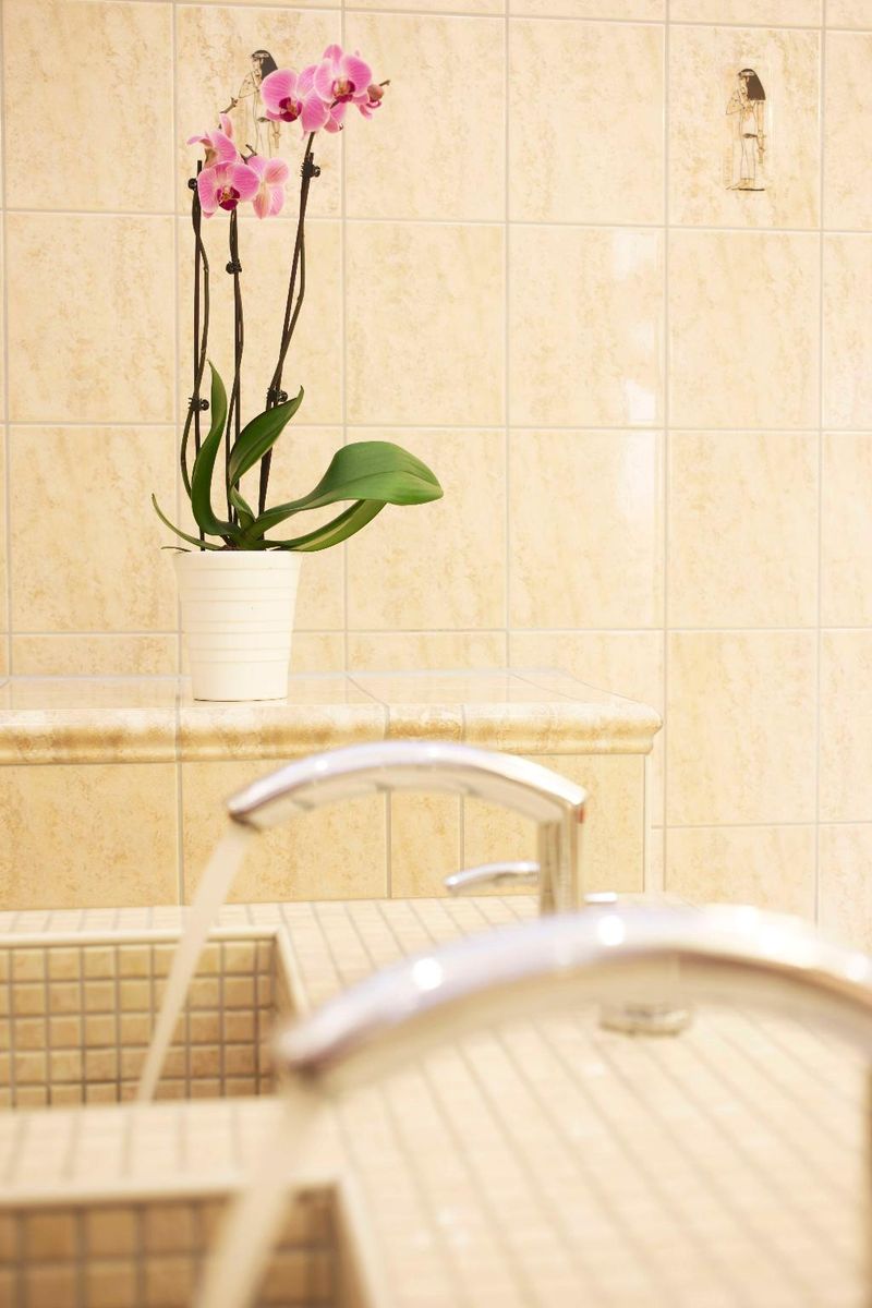 Hotel Hollywood Media Hotel, Deutschland, Berlin. Großes 2