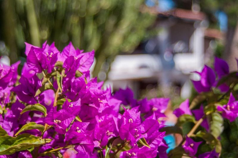 Hotel Cormoran Hotel & Residence, Italien, Villasimius. Großes 1