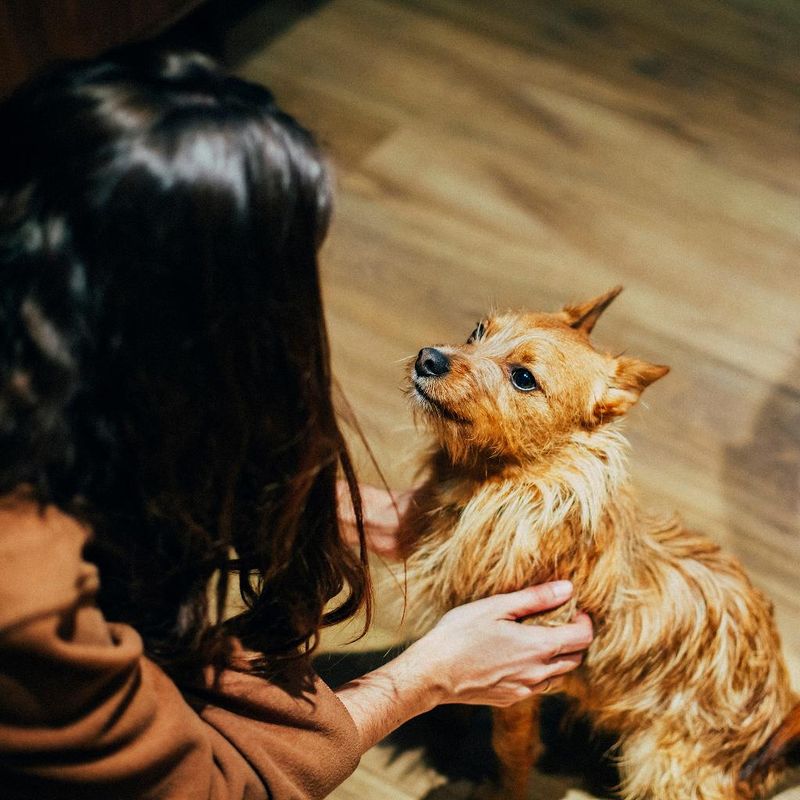 Hotel Petit Palace Santa Cruz, Spanien, Sevilla. Großes 1