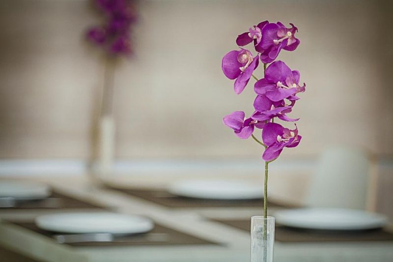 Hotel Hotel Raganelli, Italien, Rom. Großes 29