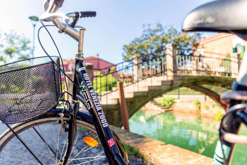 Hotel Venezia 2000, Italien, Venedig. Großes 1