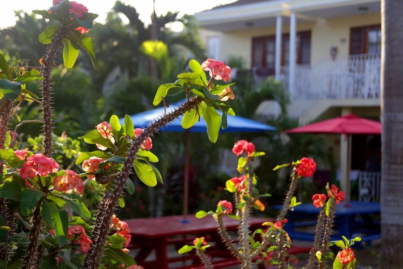 Hotel Negril Palms, Jamaika, Negril. Großes 27