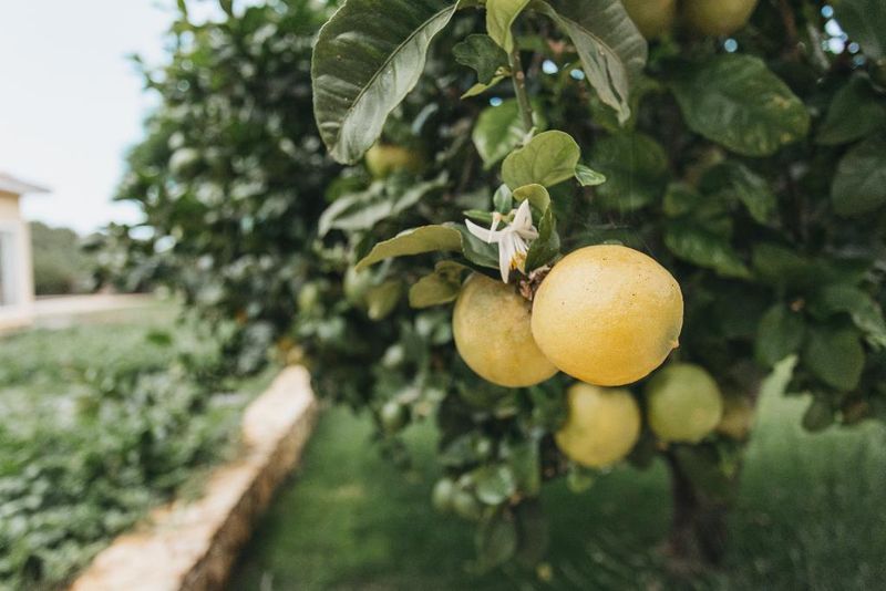 Hotel Agroturismo Malbuger Nou Menorca Adults Only, Spanien, Mahón. Großes 2