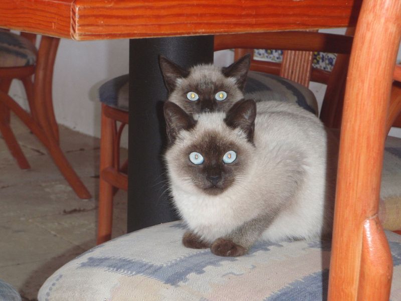 Hotel Matchani Gran, Spanien, Sant Climent. Großes 1