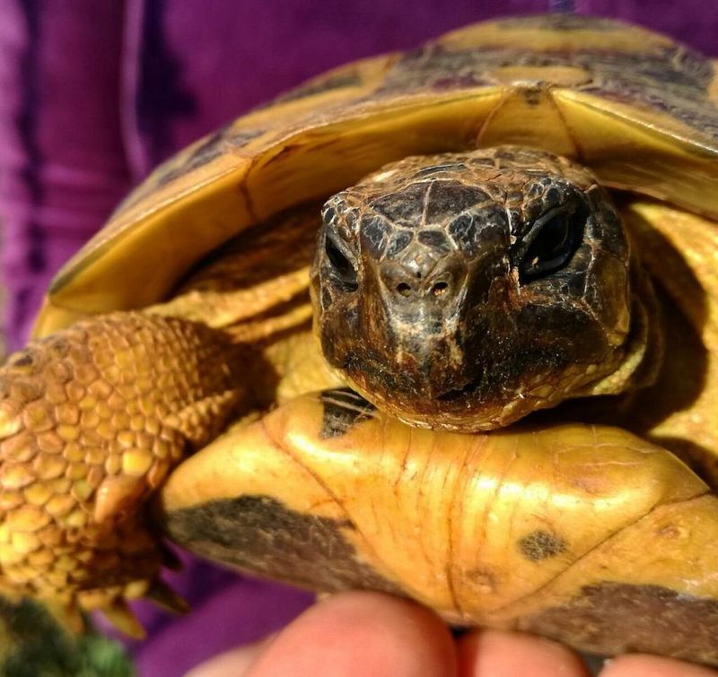 Hotel Matchani Gran, Spanien, Sant Climent. Großes 2