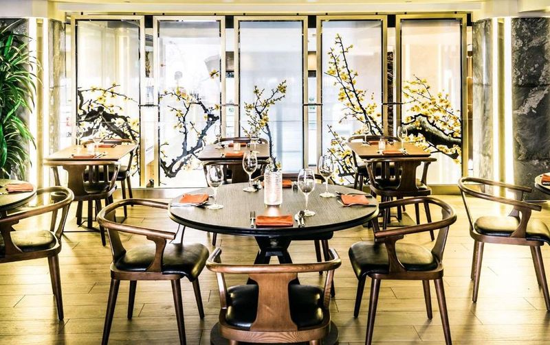 Hotel Hotel Fusion, USA, San Francisco. Großes 1