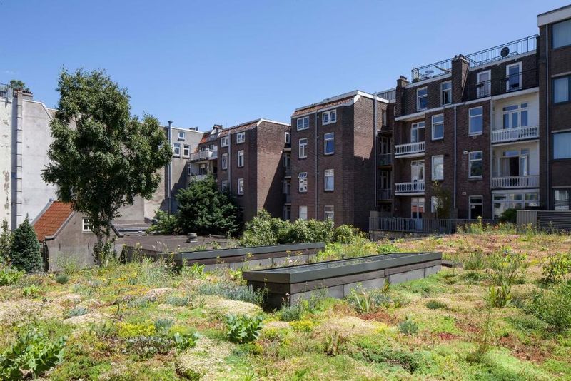 Hotel Conscious Hotel Vondel Park, Niederlande, Amsterdam. Großes 1