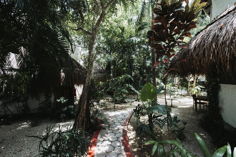 Hotel Hotel Casa Barbara, Mexiko, Isla Holbox. Großes 51
