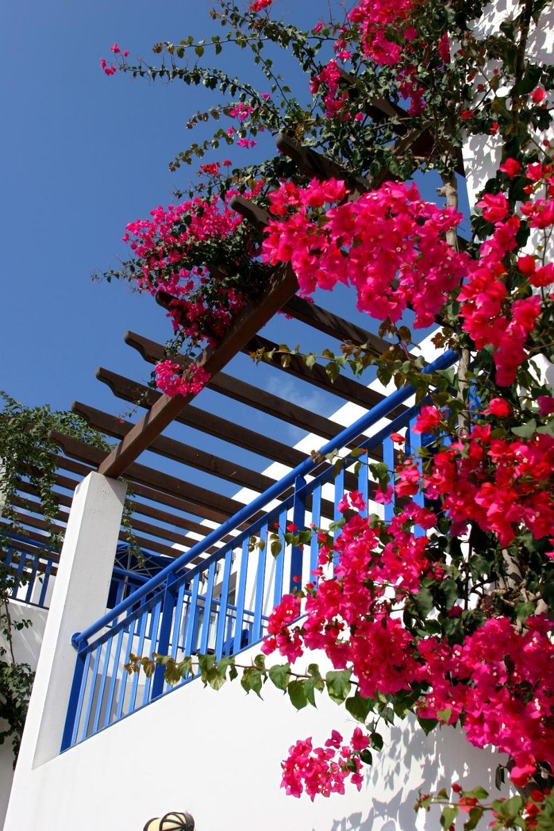 Hotel Aliathon Resort, Zypern, Geroskipou. Großes 1