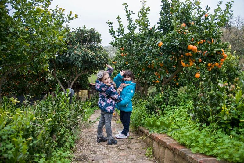 Hotel Azienda Agrituristica Bergi, Italien, Castelbuono. Großes 2