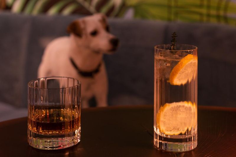 Hotel GOLDEN TULIP OPERA DE NOAILLES, Frankreich, Paris. Großes 34