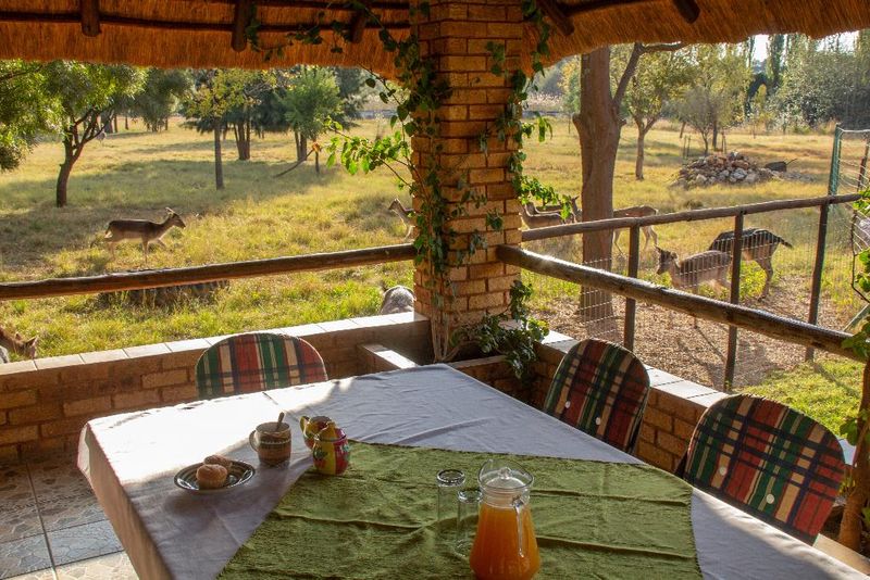 Hotel Airport & Bird Game Lodge, Südafrika, Kempton Park. Großes 1