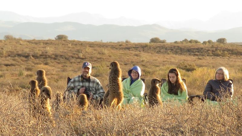 Hotel De Zeekoe Guest Farm, Südafrika, Oudtshoorn. Großes 2