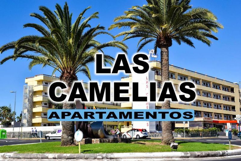 Hotel Las Camelias Apartments, Spanien, Playa del Ingles. Großes 9