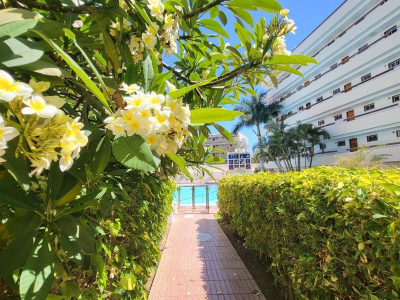 Hotel Las Camelias Apartments, Spanien, Playa del Ingles. Großes 2