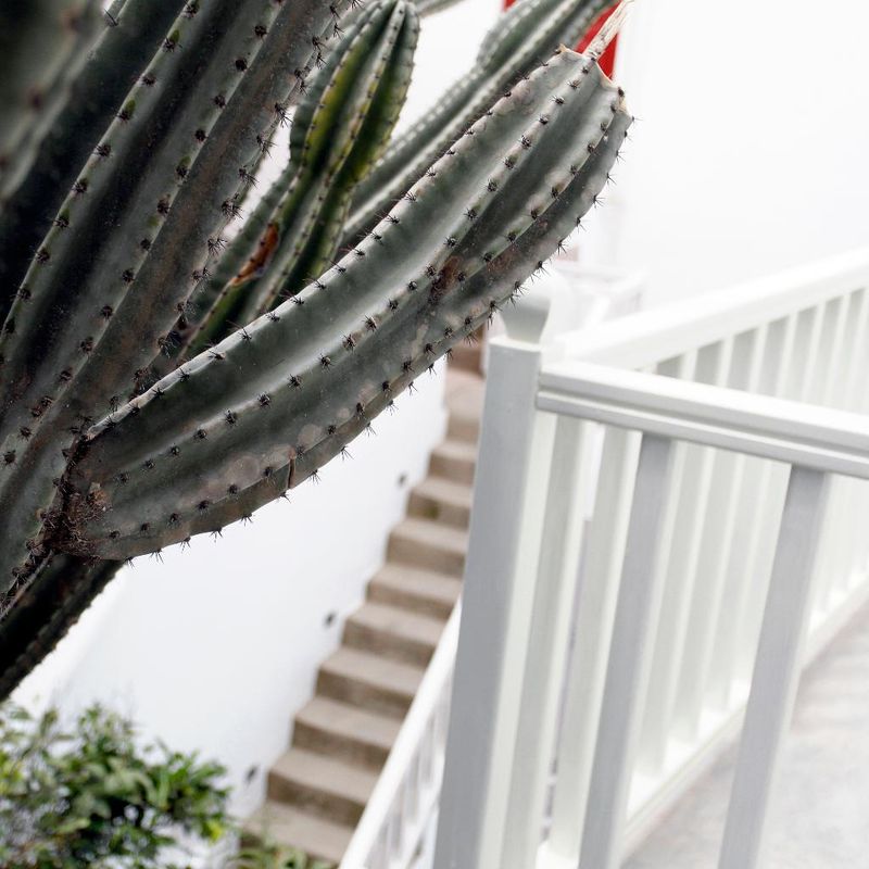 Hotel Fresh Boutique hotel, Griechenland, Mykonos-Stadt. Großes 17