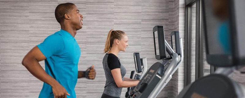 Hotel Courtyard By Marriott Lyndhurst Meadowlands, USA, Lyndhurst. Großes 2